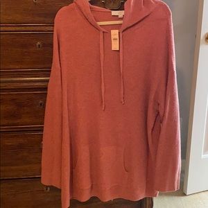 Loft Sweater Pullover Size 20